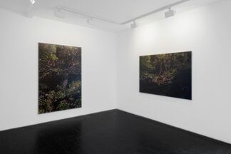 Hannah Brown: Before Long, installation view