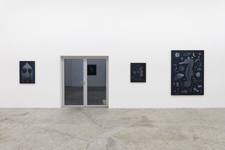 «closer to the moon», installation view