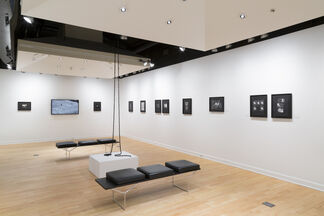 Dionne Lee: Trap and Lean-to, installation view