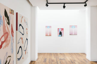 'The Politics of Pink', installation view