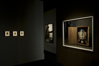 Hamiltons Gallery at Paris Photo 2013, installation view