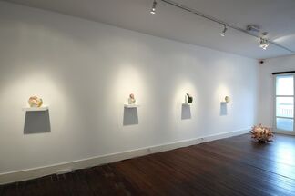Curious Room, installation view