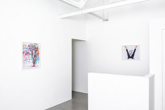 I Fucking Love You, installation view