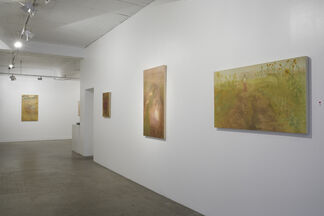 He Māra Oranga, installation view