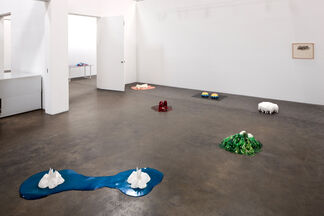 Come & Show Me the Way, installation view