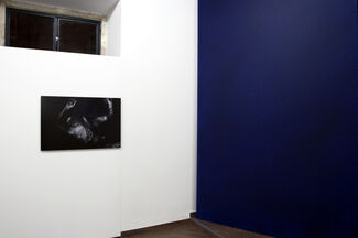 The Switch | Blue, installation view