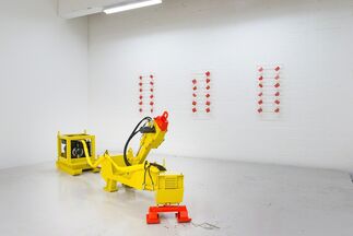 A Strong Affinity, installation view