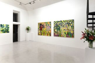 Nicholas William Johnson - DEWDRINKER or The Intolerable Strangeness of Vegetable Consciousness, installation view