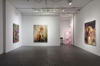 Dan Voinea, "Blindscape: There from Where Nothing Can Be Seen", installation view
