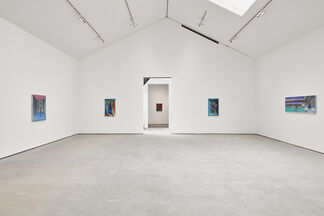Julien Nguyen, Ex Forti Dulcedo, installation view