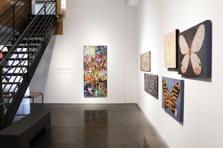 Colleen Philippi - "Butterfly Effect", installation view