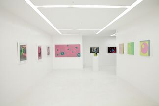 The Motherboard, installation view
