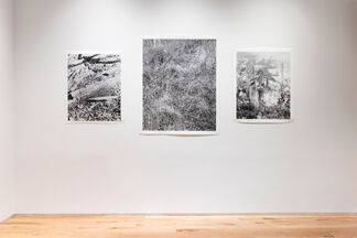 Polemics of the Landscape, installation view