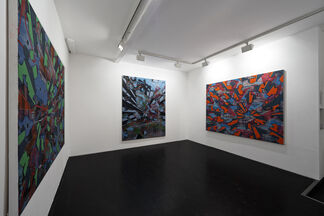 Tobias Lehner, installation view