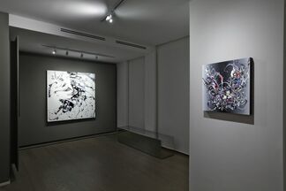 Katrin Fridriks. Forces of Nature, installation view
