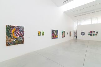 Amir H. Fallah // Wild Frontiers, installation view