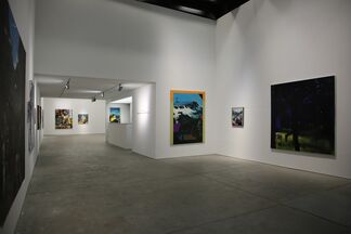 THE WANDERERS: Contemporary Painting from Cluj, installation view