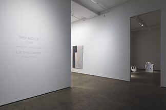 Sam Moyer: Tone, installation view