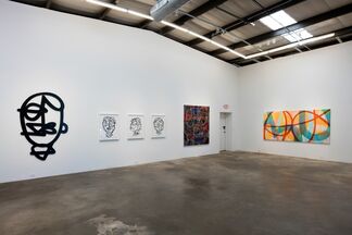 JM RIZZI: The Sanest Days Are Mad, installation view
