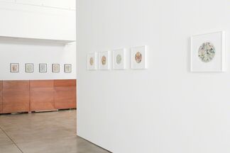 Not From Here, installation view