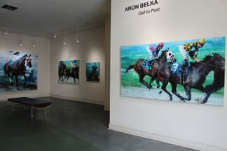Call to Post: Aron Belka, installation view