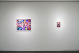 HUANG YUXING: The Lake of Barking Infants, installation view