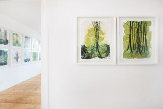 KATHARINA ALBERS - What dreams! Those forests!, installation view