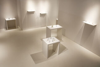 REIJINSHA GALLERY - Noriko Seki Solo Exhibition: Specimen of memory exhibition, installation view