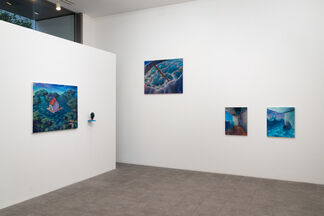 MOEKO KAGEYAMA 2014-2019, installation view