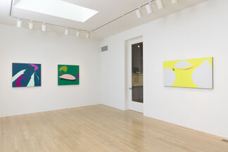Heather Gwen Martin: Nerve Lines and Fever Dreams, installation view