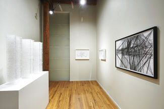 Introduction to Gustavo Díaz, installation view