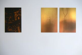 Trees De Mits 'KIN & KURO', installation view