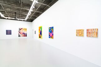 Cult of Color, installation view