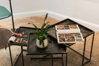 The Psychology of Visual Pleasure, installation view