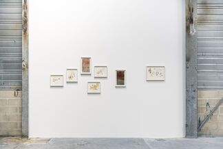 Earthly Body, installation view
