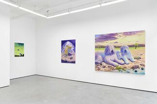 Things that happen when we are not looking, installation view