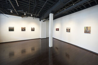 Daina Higgins: Pandemic/Protest, installation view