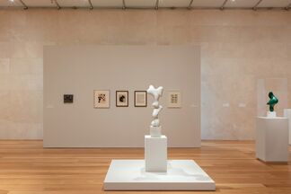 The Nature of Arp, installation view