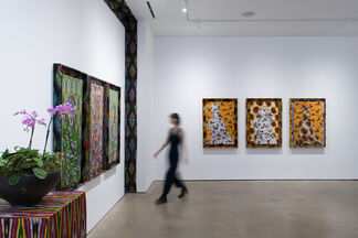 Cartographies of Pattern, installation view