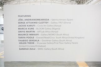 Sabrina Amrani at Cape Town Art Fair 2017, installation view