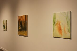 Joseph Noderer: Horse Hill Waugh and Other Views, installation view