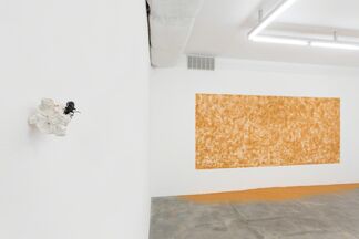Exhibition 3: Alex Ayed, installation view