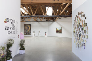 Beyond the Looking Glass, installation view