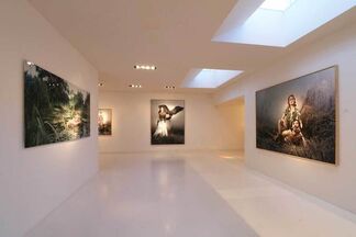 Selection of works from "The Sweetest Taboo", installation view