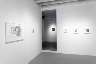 CARLY WAITO: MICROGEOGRAPHICA, installation view