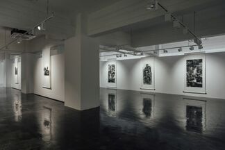 The Serene Path, installation view