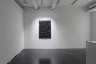 Anna Zaradny | Theurgy Two, installation view