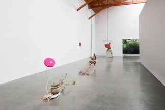 Abraham Cruzvillegas: Esculturas Pendientes, installation view