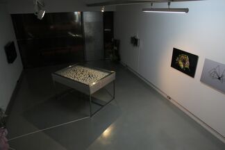 「Lightness Of The Soul」－Ding-Yeh Wang ’s solo exhibition, installation view