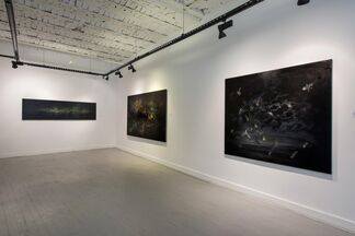 The Disaster Takes Care Of Everything, installation view